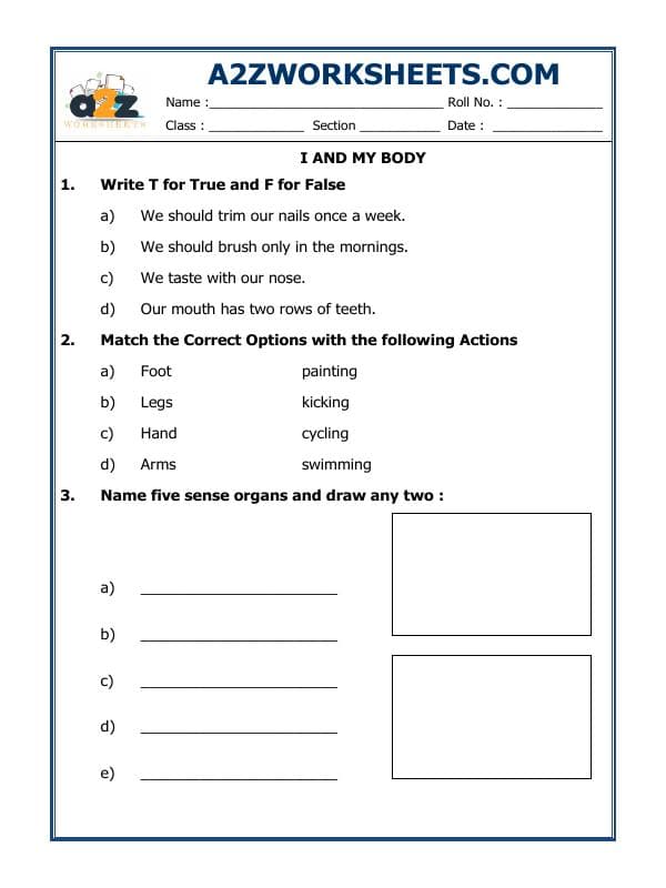 A2ZWorksheets:Science-Humans-I And My Body