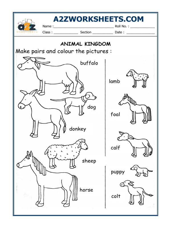 A2ZWorksheets:Science-Animals-Worksheet-06-Animals And Their Babies