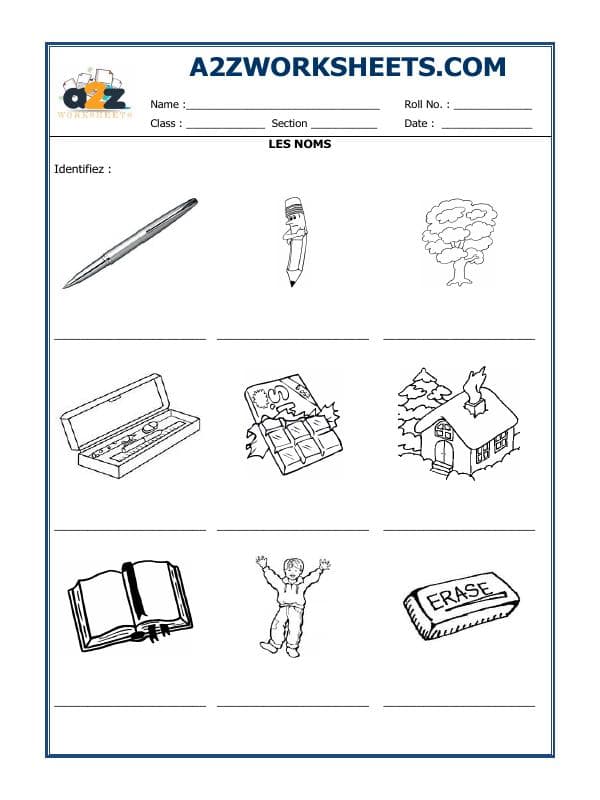 French Worksheet - Les Noms