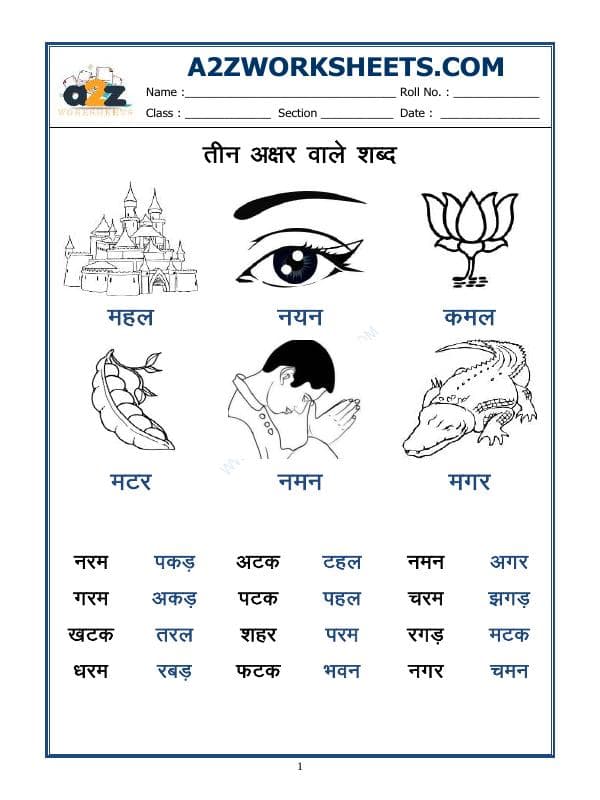 Hindi Worksheet - Teen Akshar Shabd