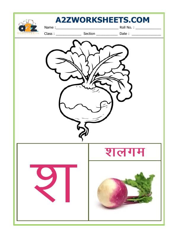 Hindi Varnmala - Akshar Sha (श)