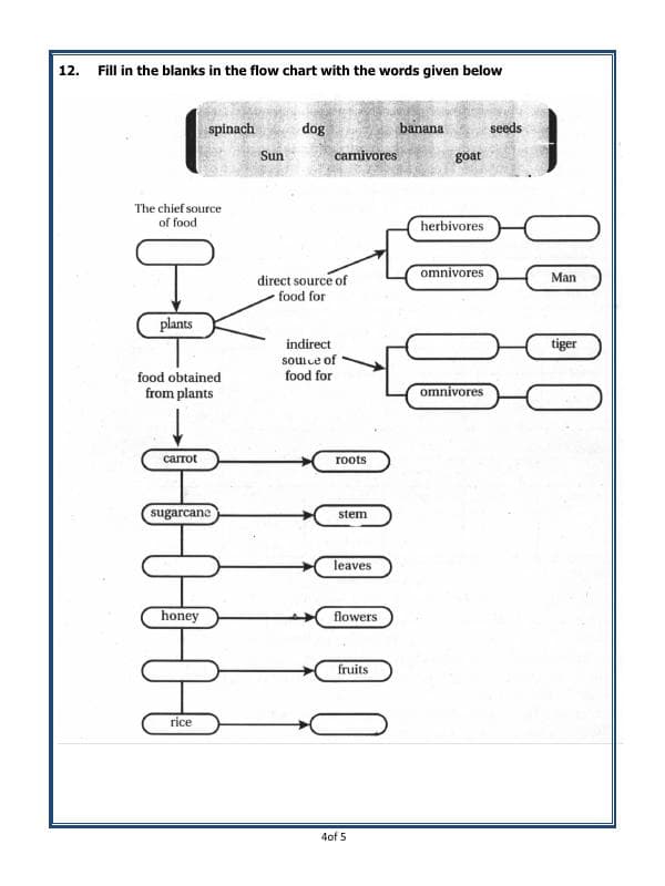 A2ZWorksheets:Science-Basic Necessities-Food -  Where Does It Come From