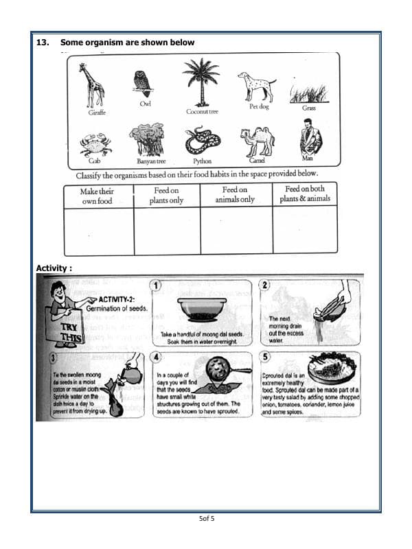 A2ZWorksheets:Science-Basic Necessities-Food -  Where Does It Come From