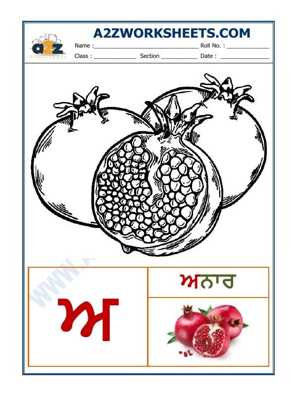 Punjabi Language - Akhar Aada