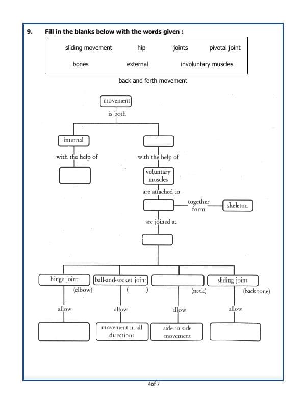 A2ZWorksheets:Science-Humans-Body Movements