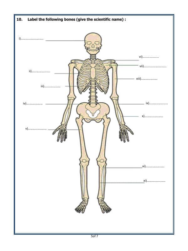 A2ZWorksheets:Science-Humans-Body Movements