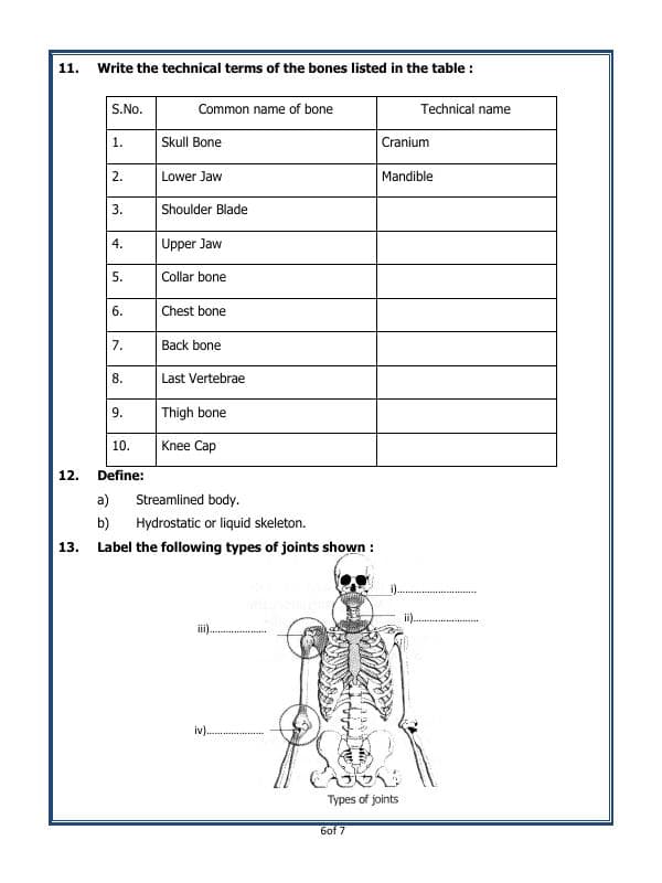 A2ZWorksheets:Science-Humans-Body Movements