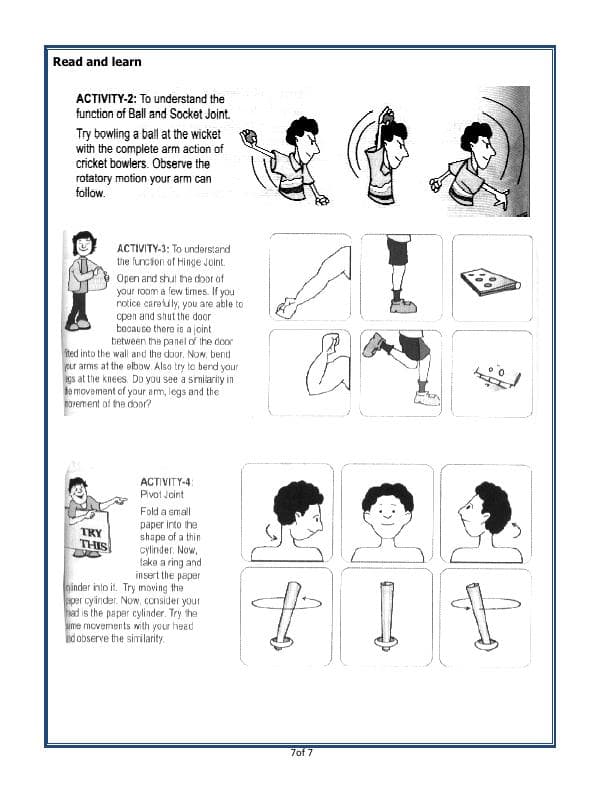 A2ZWorksheets:Science-Humans-Body Movements