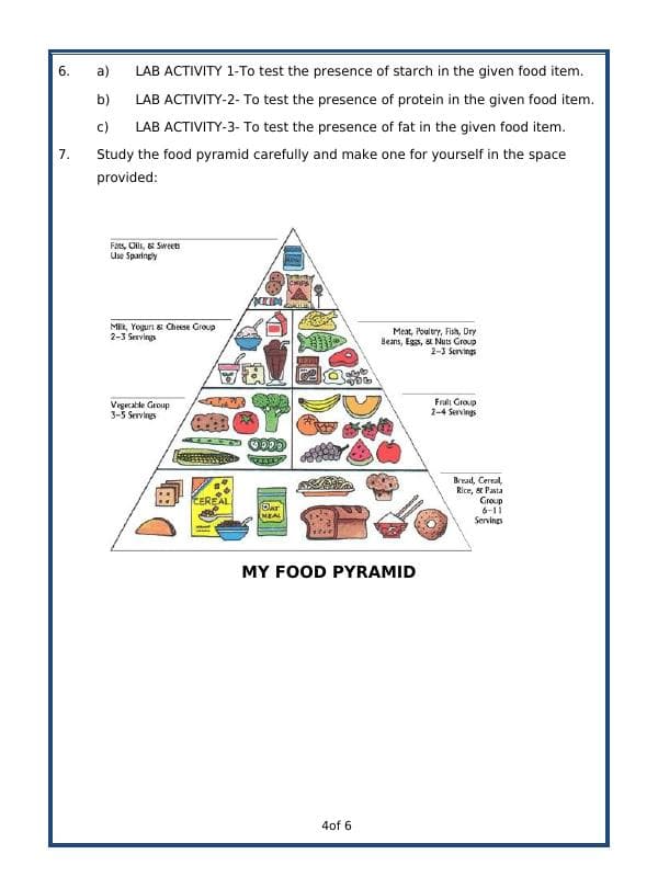 A2ZWorksheets:Science-Basic Necessities-Components Of Food