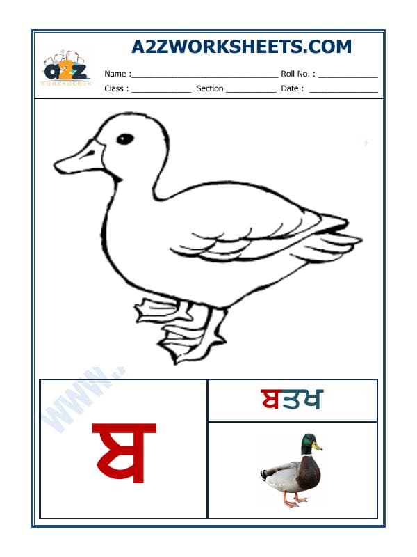 Punjabi Language - Akhar Babba