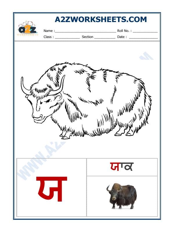 Punjabi Language - Akhar Yaiyya