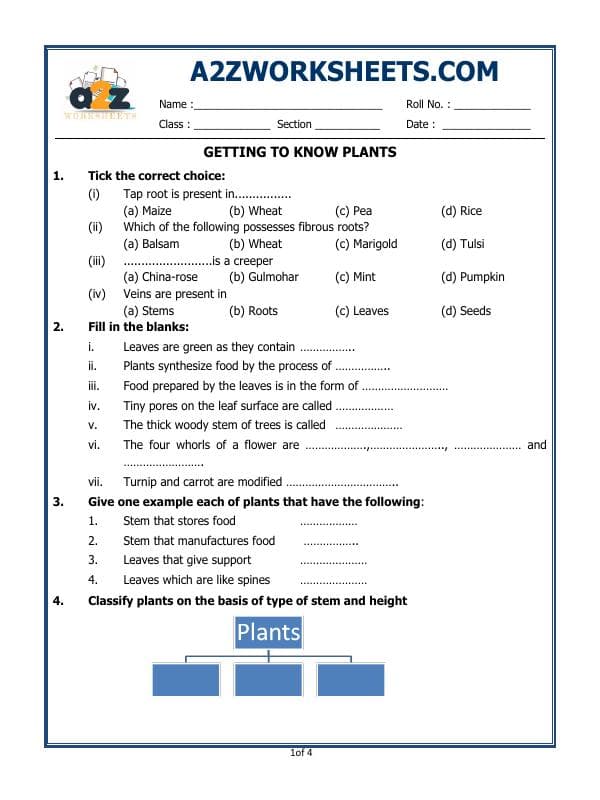 A2ZWorksheets:Science-Plants and Living Organisms-Getting To Know Plants