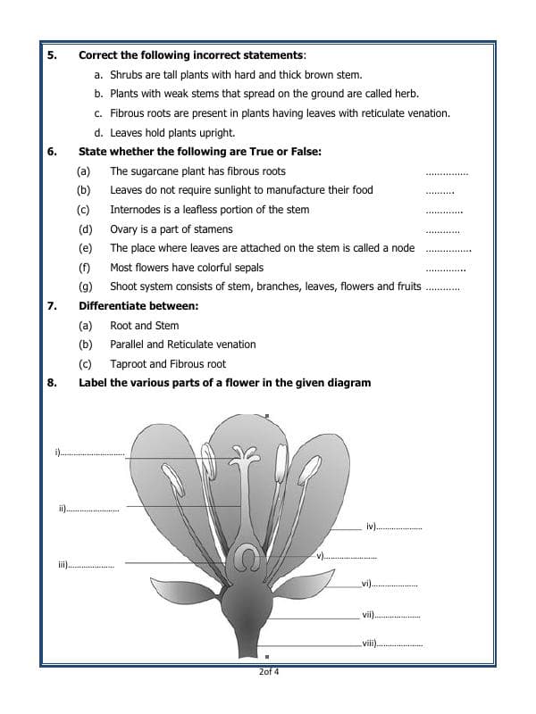 A2ZWorksheets:Science-Plants and Living Organisms-Getting To Know Plants