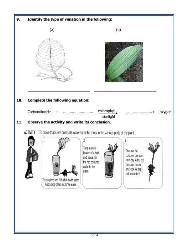 A2ZWorksheets:Science-Plants and Living Organisms-Getting To Know Plants