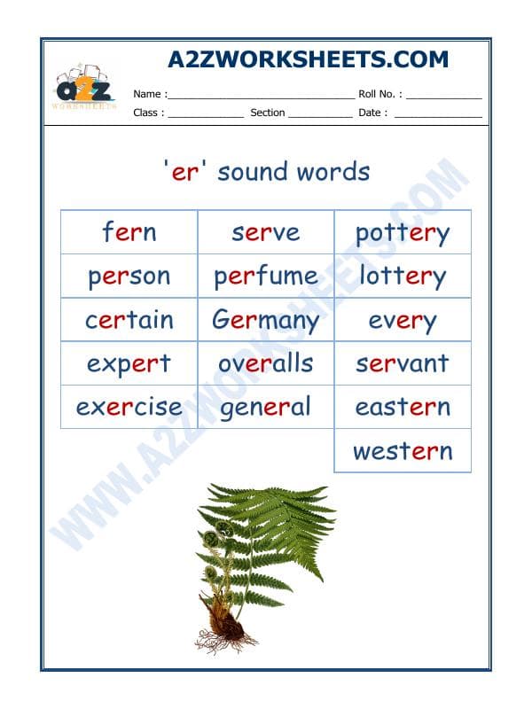 A2ZWorksheets:English-Reading-English Phonics Sounds - 'Er' Sound Words-02