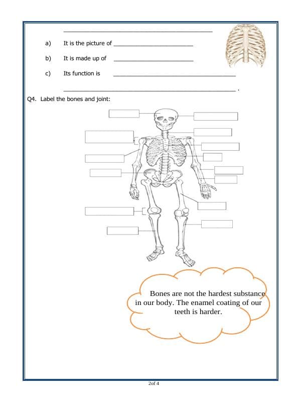 A2ZWorksheets:Science-Humans-Class - V - Bones And Muscles