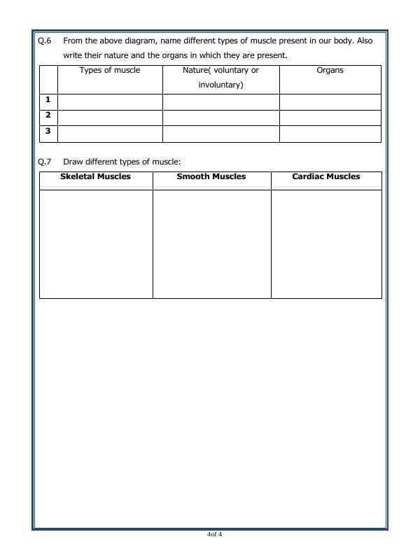 A2ZWorksheets:Science-Humans-Class - V - Bones And Muscles