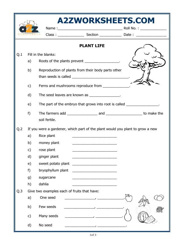 A2ZWorksheets:Science-Plants and Living Organisms-Plant Life