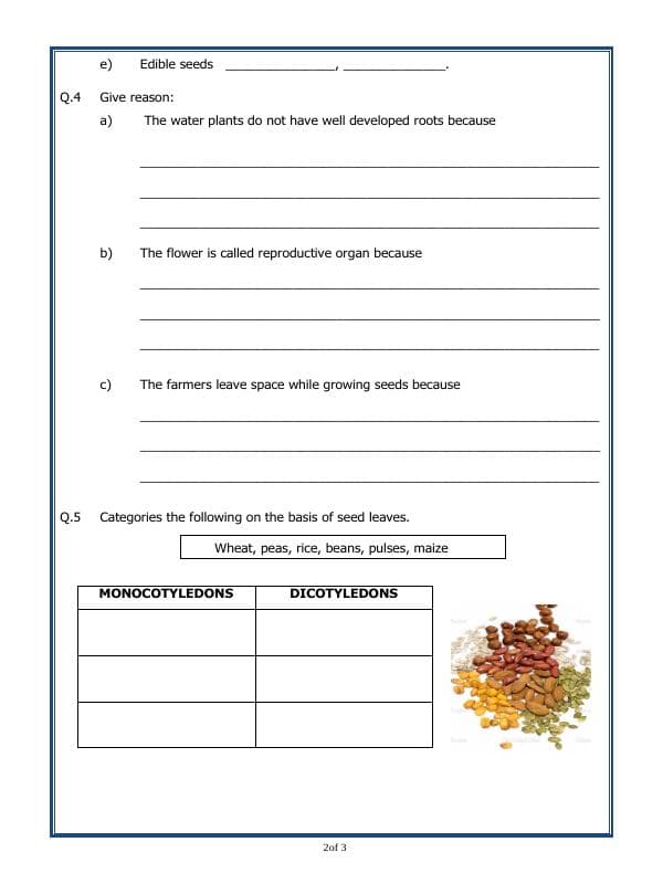 A2ZWorksheets:Science-Plants and Living Organisms-Plant Life