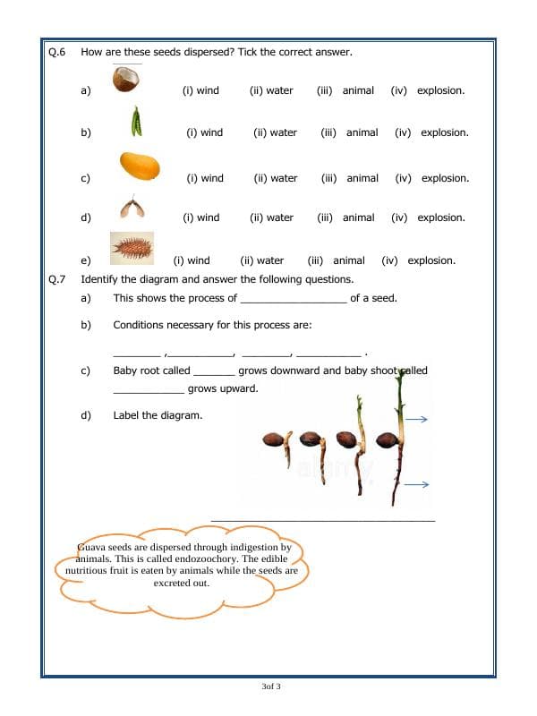 A2ZWorksheets:Science-Plants and Living Organisms-Plant Life