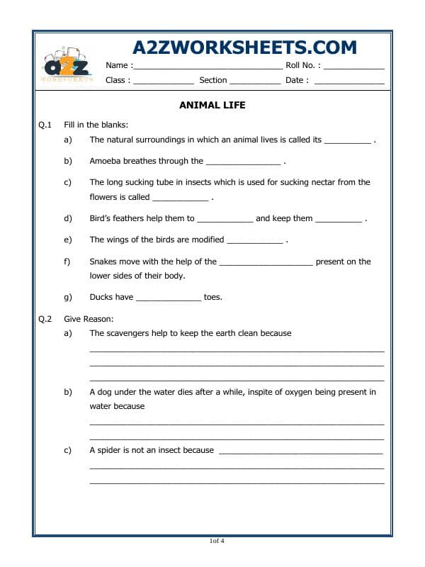 A2ZWorksheets:Science-Animals-Animal Life