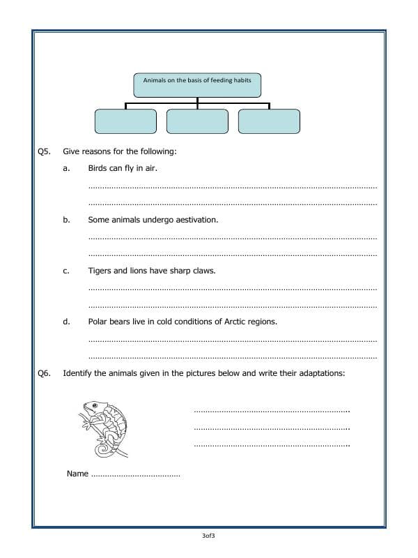 A2ZWorksheets:Science-Animals-Adaptations In Animals