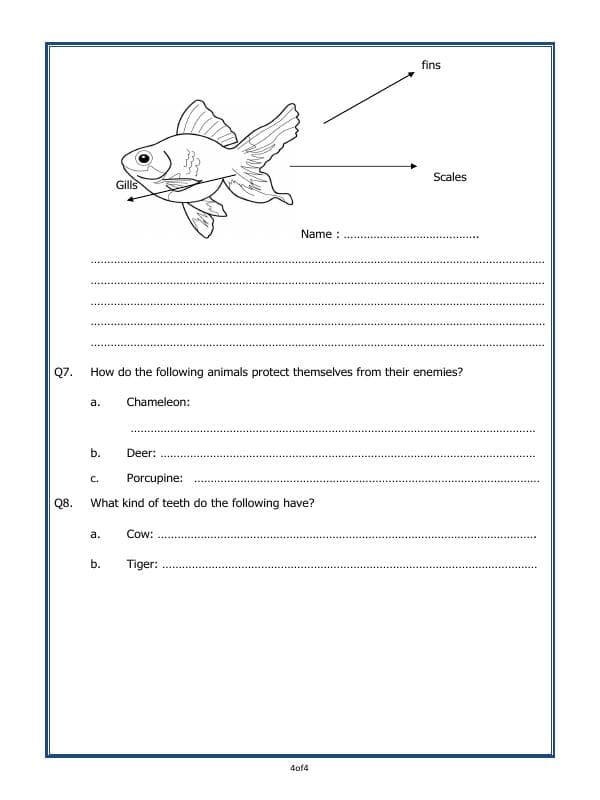 A2ZWorksheets:Science-Animals-Adaptations In Animals
