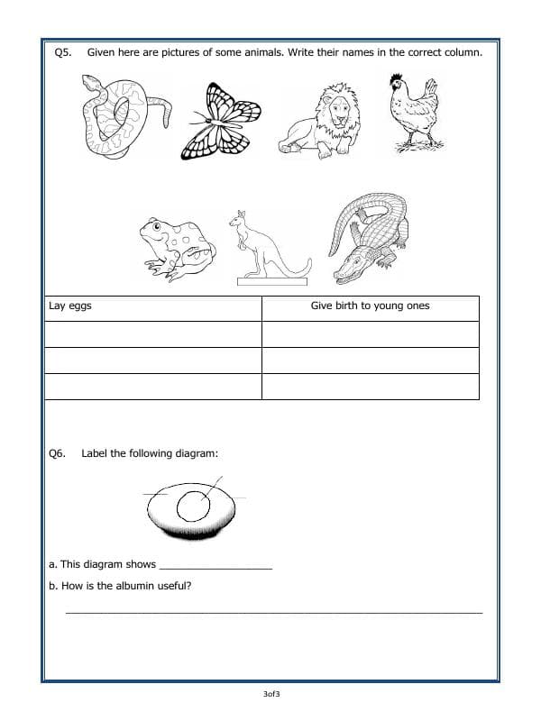A2ZWorksheets:Science-Animals-Animals - Increasing In Numbers