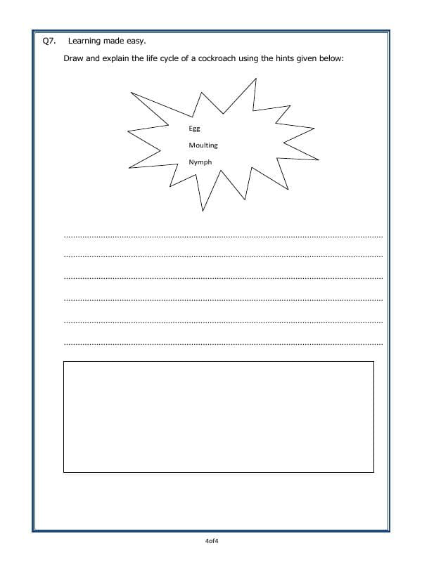 A2ZWorksheets:Science-Animals-Animals - Increasing In Numbers