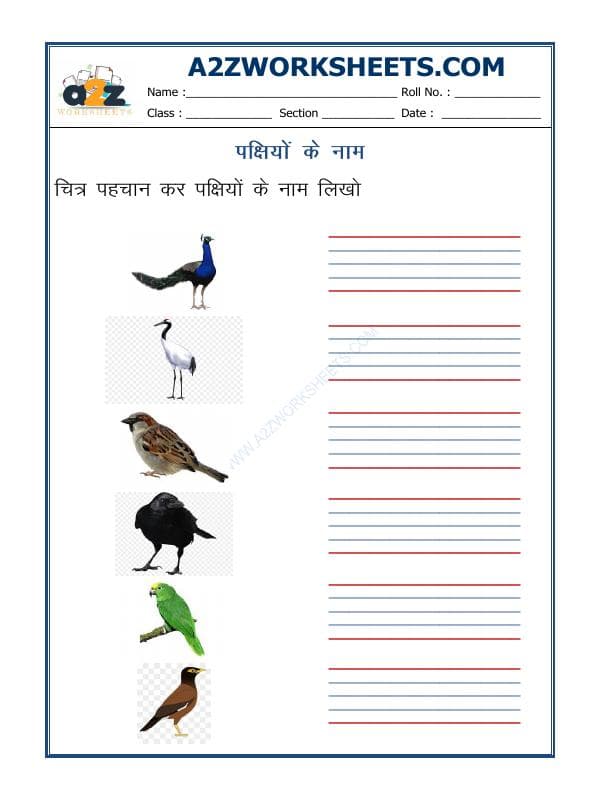 Hindi - Name Of Birds In Hindi (पक्षियों के नाम)