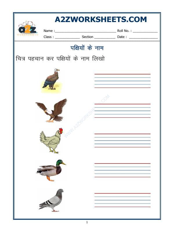 A2ZWorksheets:Language-Hindi-Hindi Worksheet - Name Of Birds In Hindi - 02