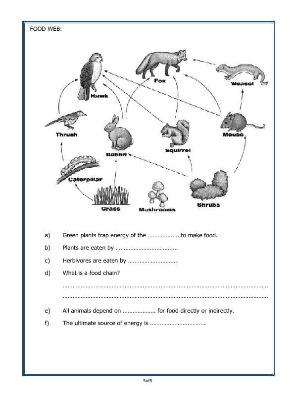 A2ZWorksheets:Science-Plants and Living Organisms-Plants - Our Green Friends