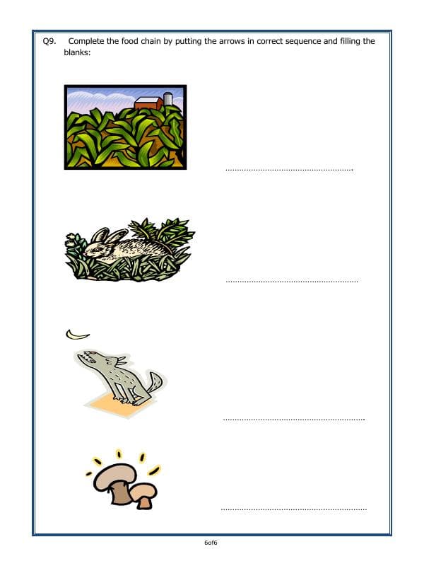 A2ZWorksheets:Science-Plants and Living Organisms-Plants - Our Green Friends