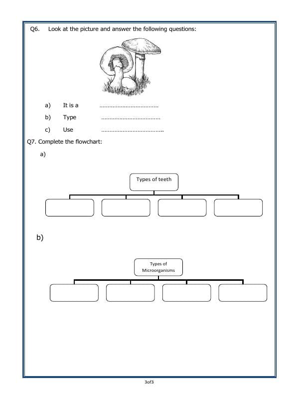 A2ZWorksheets:Science-Humans-Teeth And Microbes