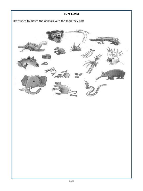 A2ZWorksheets:Science-Animals-Eating Habits Of Animals