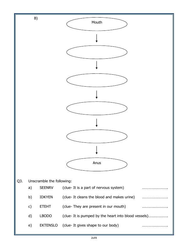 A2ZWorksheets:Science-Humans-Our Body