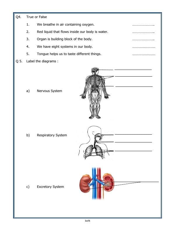 A2ZWorksheets:Science-Humans-Our Body