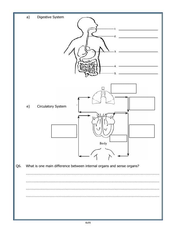 A2ZWorksheets:Science-Humans-Our Body