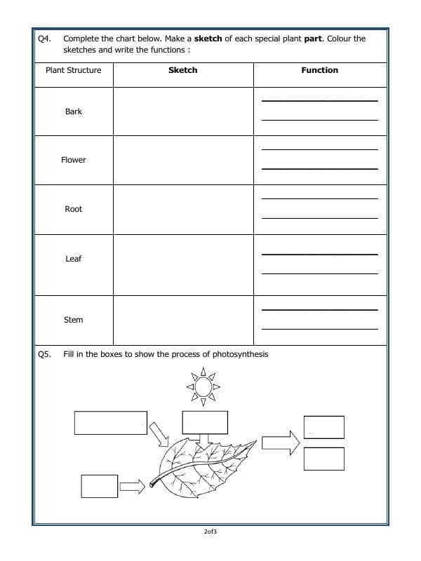 A2ZWorksheets:Science-Plants and Living Organisms-Parts Of A Plant