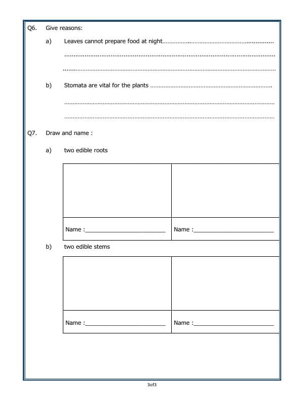 A2ZWorksheets:Science-Plants and Living Organisms-Parts Of A Plant