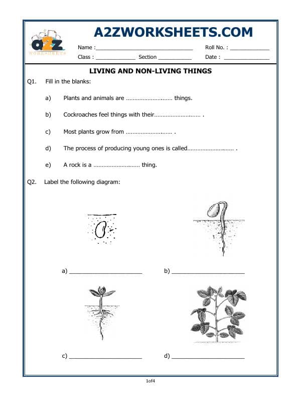 A2ZWorksheets:Science-Plants and Living Organisms-Living And Non-Living Things