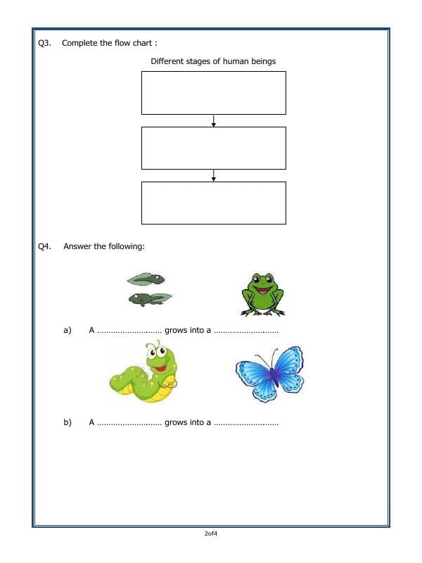 A2ZWorksheets:Science-Plants and Living Organisms-Living And Non-Living Things