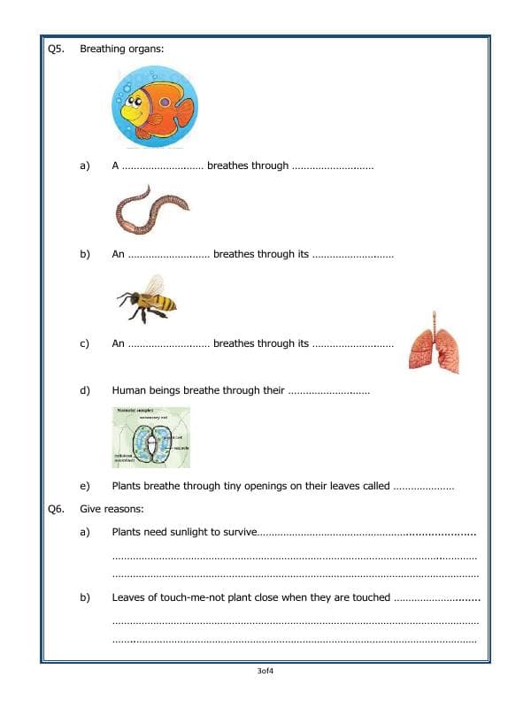 A2ZWorksheets:Science-Plants and Living Organisms-Living And Non-Living Things