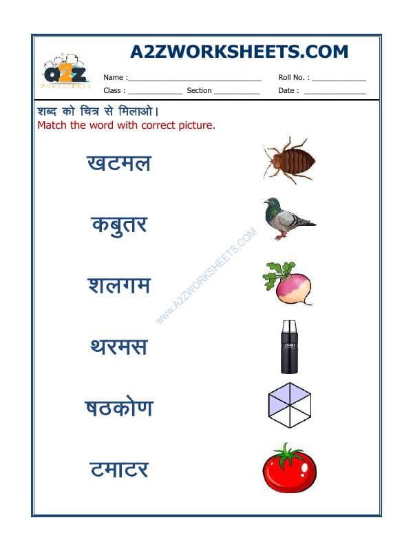 A2ZWorksheets:Language-Hindi-Hindi-Match The Word To Picture-06