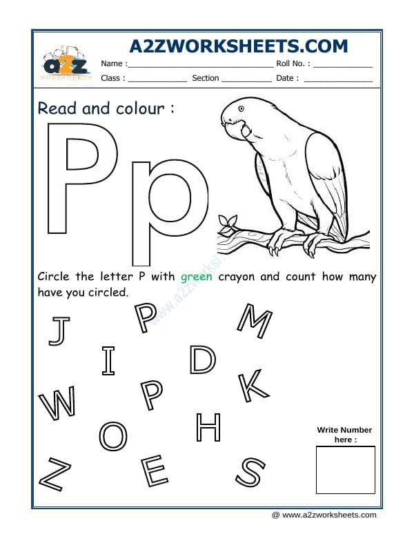 A2ZWorksheets:English-Recognition-Read And Colour P