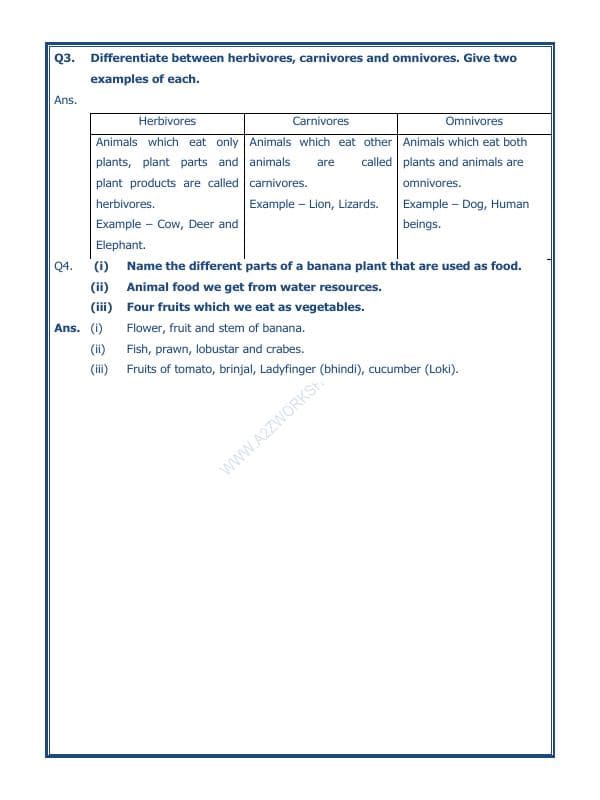 A2ZWorksheets:Science-Basic Necessities-Food Where Does It Come From-05
