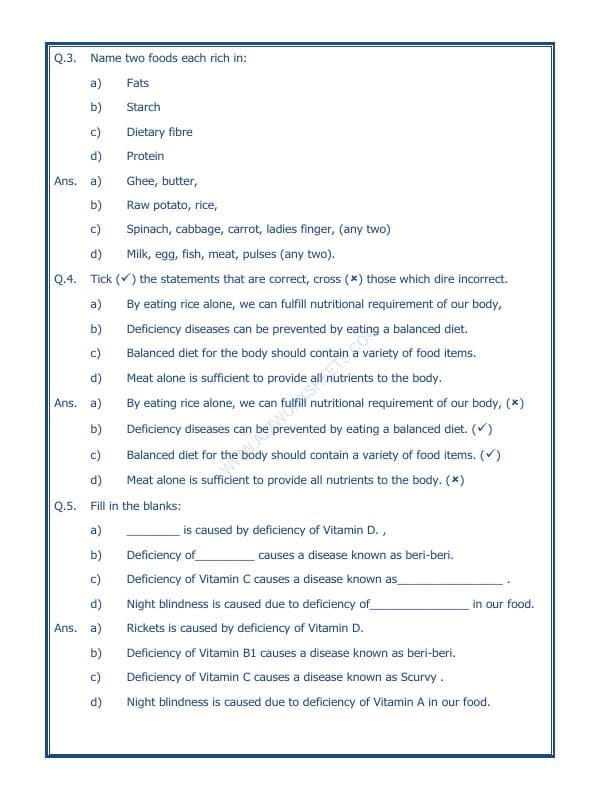 A2ZWorksheets:Science-Basic Necessities-Components Of Food-02