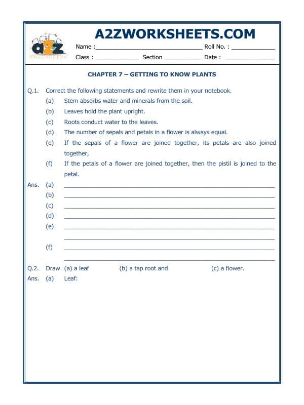 A2ZWorksheets:Science-Plants and Living Organisms-Getting To Know Plants-01