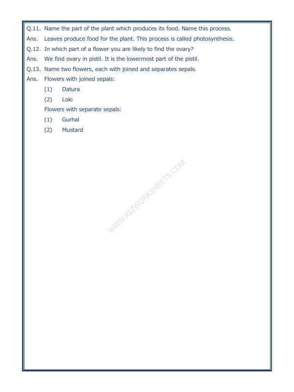 A2ZWorksheets:Science-Plants and Living Organisms-Getting To Know Plants-01