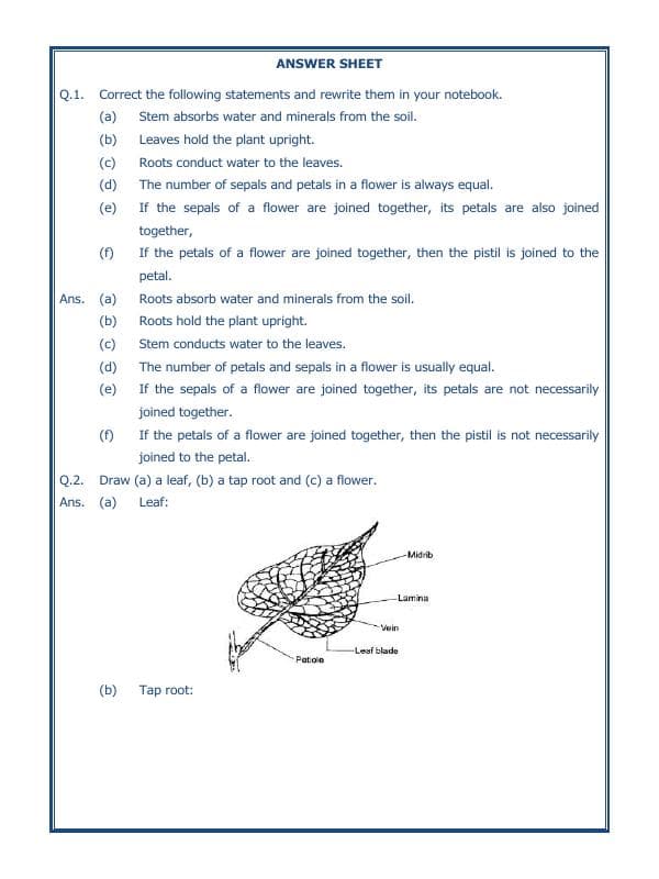 A2ZWorksheets:Science-Plants and Living Organisms-Getting To Know Plants-01